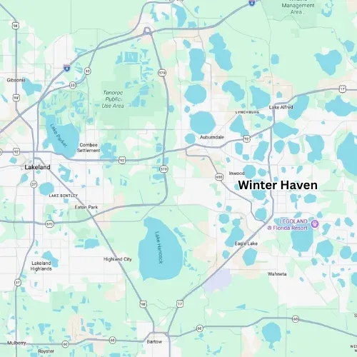 Image of Plant City's area for business areas